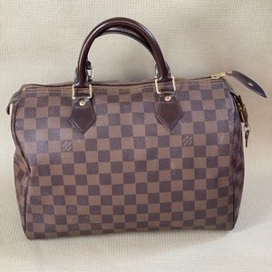 Louis Vuitton Damien Speedy 30